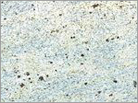 Kashmir White Granite Tiles