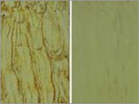 Panther Yellow Sandstone