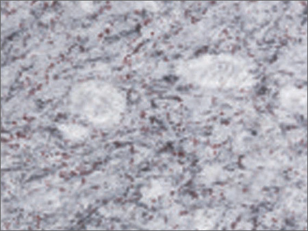 Lavender Blue Granite