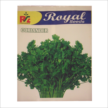 Coriander