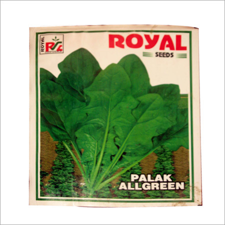 Palak All Green