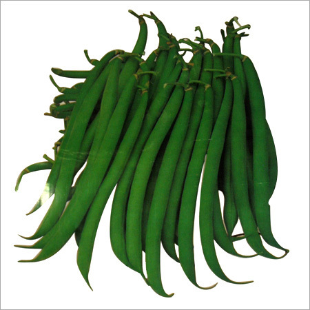 Beans Seeds