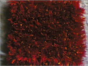 Shaggy Rugs