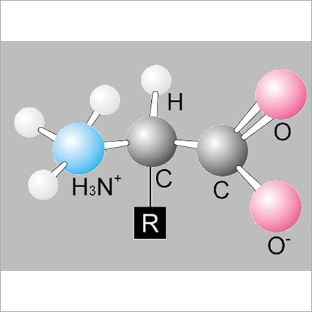 Amino Acids