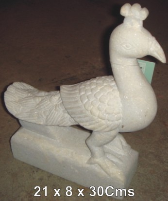 Marble Peacock