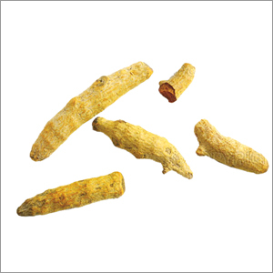 Turmeric Fingers