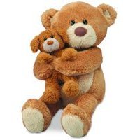 Stuffed Love Bear