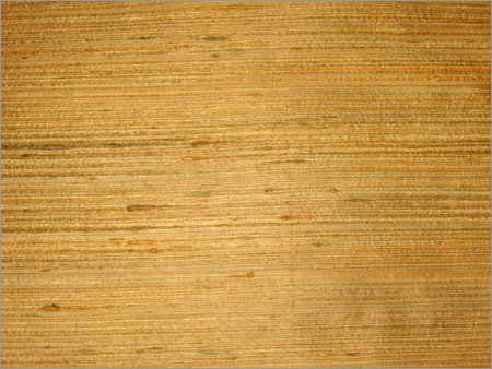 Hand Woven Silk Fabric