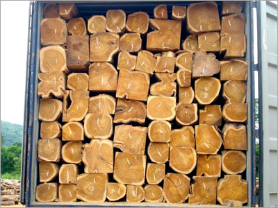 Shisham Timber Log