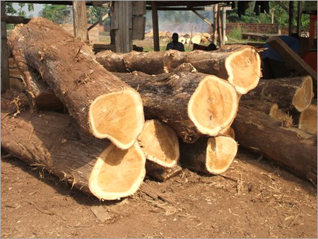 Wooden Timber