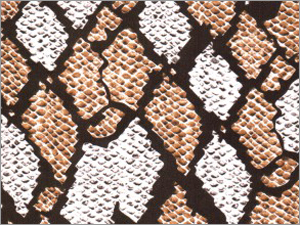 Anaconda Double Colour