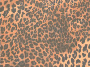 Flora Leopard