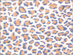 Leopard DC