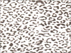 Snow Leopard - Polyester 100x100cm White, Stylish Durable Versatile Easy Care
