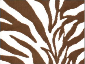 Zebra Brown