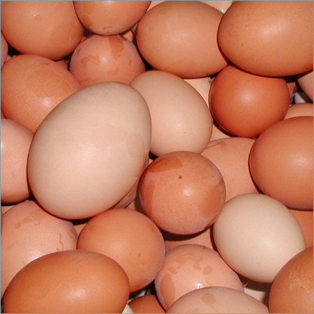 Eggs
