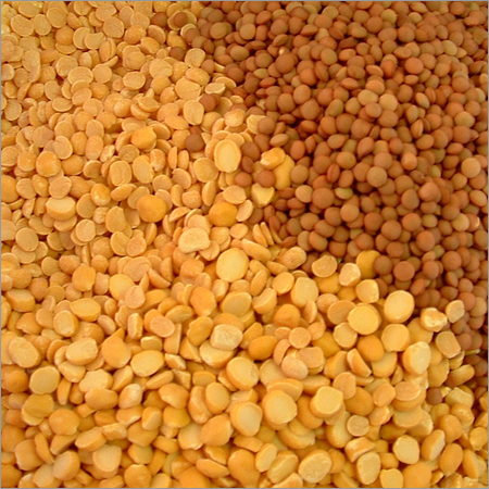 Dal