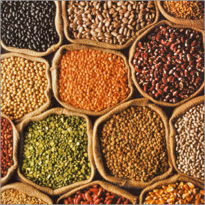 Pulses and Grains