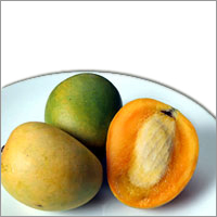 Frozen Alphonso Mango Pulp