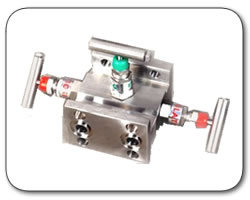 Manifold Valve