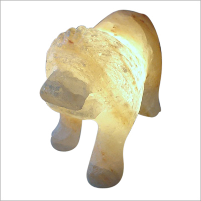 Lion Shape
