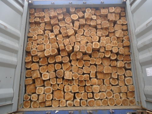 Ecuador Teak Wood Ecuador Teak Wood