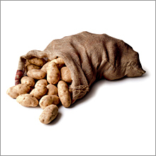 Potato Bag