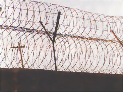 Razor Barbed Fencing Wire