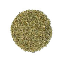 Bajra