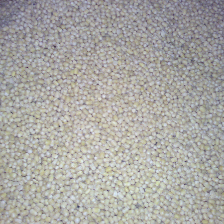 White round Orid Dalls