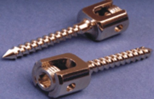 Orthopedic Screws