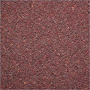 Mustard Seeds - Black