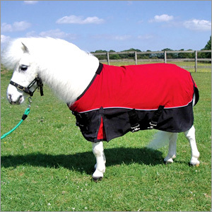 Horse Clothings