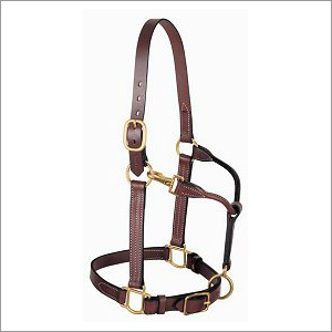 Horse Halter & Bridle (Leather & Nylon)