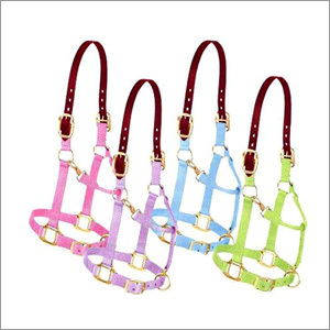 Horse Bridle (Leather & Nylon)