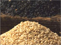 Roasted Sesame Seeds
