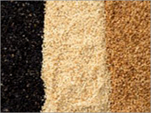 Mechanically Hulled Sesame Seed