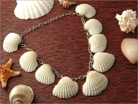 Shells Necklace
