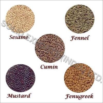All Type of Indian Spices