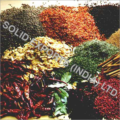 Indian Food Products
