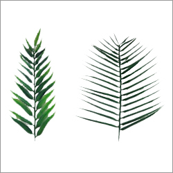 X-Mas Decorative Items