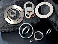 Metallic Gaskets
