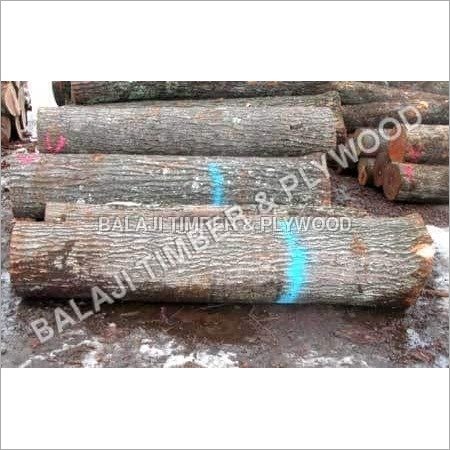 Strong Indian Teak Wood Logs
