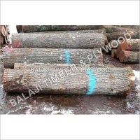 Indian Teak Wood Logs