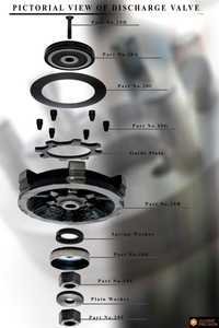 Discharge Valves & Assembly