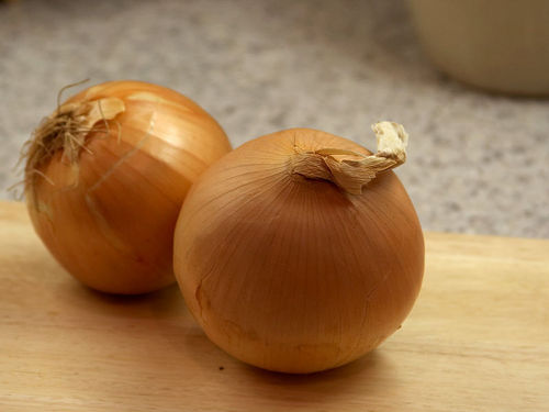 dehydrated yellow onion exporters
