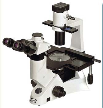 Inverted Microscope