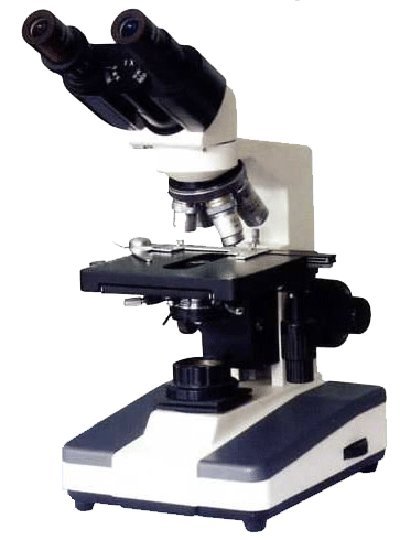 Binocular Microscope