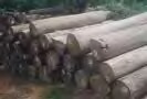 ROUND LOGS
