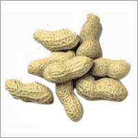Ground Nuts